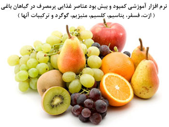 نرم افزار آموزشی کمبود و بیش بود عناصر غذایی پرمصرف در گیاهان باغی