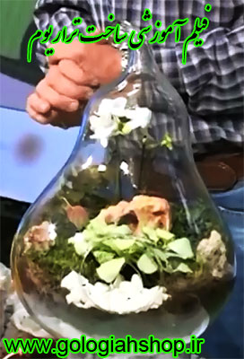 فیلم آموزش ساخت تراریوم, آموزش ساخت تراریوم, فیلم ساخت تراریوم, فیلم تراریوم, آموزش تصویری ساخت تراریوم, ساخت عملی تراریوم, ساخت علمی تراریوم, تراریوم کاکتوس, تراریوم گیاهان گلدار, تراریوم گیاهان برگدار