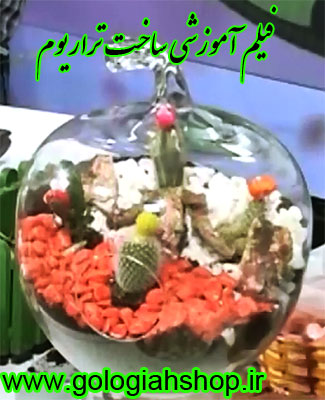 فیلم آموزشی ساخت تراریوم