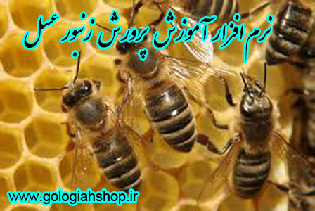 نرم افزار آموزش پرورش زنبور عسل