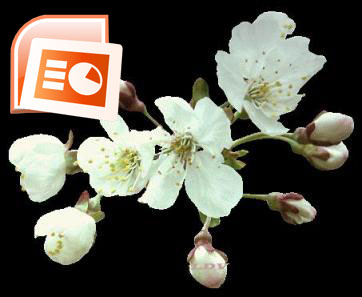 پاورپوینت آشنايي با گلها و گیاهان داروئی