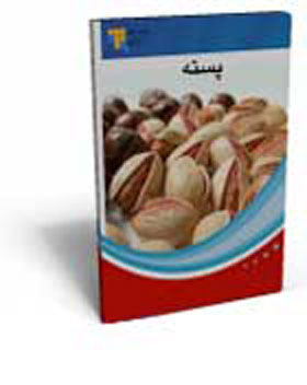 كاشت پسته كاشت پسته