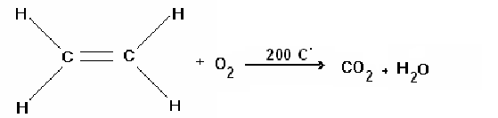 فیزیولوژی پس از برداشت