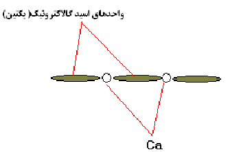 فیزیولوژی پس از برداشت