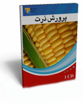 کاشت ذرت