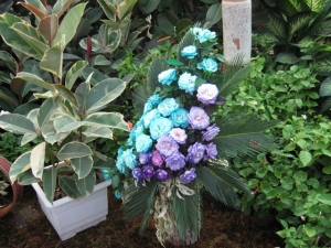 دهمین نمایشگاه گل و گیاه محلات