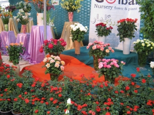 دهمین نمایشگاه گل و گیاه محلات