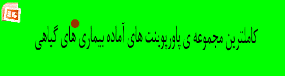 بنر