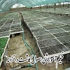 فيلم آموزشی اصول کاشت در خزانه, خزانه, گیاه در خزانه, کاشت گیاه در خزانه, نشای سالم, اتاق نشاء, خاک مناسب نشاء, گلدان خزانه, نور در خزانه, بیماریهای خزانه, آبیاری خزانه, کود دهی خزانه