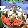 فیلم آموزش ساخت تراریوم, آموزش ساخت تراریوم, فیلم ساخت تراریوم, فیلم تراریوم, آموزش تصویری ساخت تراریوم, ساخت عملی تراریوم, ساخت علمی تراریوم, تراریوم کاکتوس, تراریوم گیاهان گلدار, تراریوم گیاهان برگدار