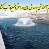 فیلم پرورش ماهی در استخر ذخیره آب کشاورزی, آماده سازی استخر پرورش ماهی, استفاده چند منظوره از آب کشاورزی, استخر پرورش ماهی, ریختن بچه ماهی در استخر, پرورش بچه ماهی, هوا دهی به استخر, غذا دهی به ماهی, صید ماهی, نگهداری غذای ماهی