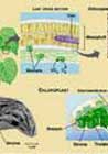 فيزيولوژي گياهي , plant physiology فيزيولوژي گياهي , plant physiology