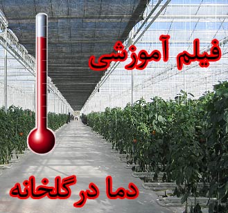 دما در گلخانه, فیلم آموزشی دما در گلخانه, تاثیر دما بر خیار, تاثیر دما بر گوجه, تاثیر دما بر فلفل, تاثیر دما بر توت فرنگی, تاثیر دما بر محصولات گلخانه ای, تاثیر دما بر کشت گلخانه ای, تاثیر دما بر کاشت گلخانه ای, تاثیر دما بر رشد رویشی گیاه, تاثیر دما بر رشد زایشی گیاه, تاثیر دما بر حرکت مواد غذایی گیاه, نحوه ایجاد دمای یکنواخت در گلخانه, دمای مناسب گیاه در فصول مختلف, نمودار دما برای گیاهان گلخانه ای, دما مناسب برای میوه دهی بیشتر دما در گلخانه, فیلم آموزشی دما در گلخانه, تاثیر دما بر خیار, تاثیر دما بر گوجه, تاثیر دما بر فلفل, تاثیر دما بر توت فرنگی, تاثیر دما بر محصولات گلخانه ای, تاثیر دما بر کشت گلخانه ای, تاثیر دما بر کاشت گلخانه ای, تاثیر دما بر رشد رویشی گیاه, تاثیر دما بر رشد زایشی گیاه, تاثیر دما بر حرکت مواد غذایی گیاه, نحوه ایجاد دمای یکنواخت در گلخانه, دمای مناسب گیاه در فصول مختلف, نمودار دما برای گیاهان گلخانه ای, دما مناسب برای میوه دهی بیشتر