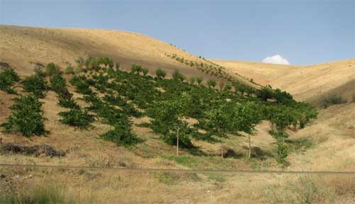 مجموعه آموزشی دیم کاری مجموعه آموزشی دیم کاری