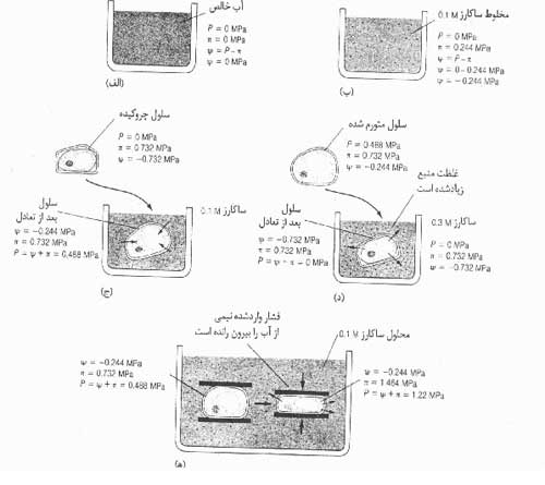 انتقال انتقال
