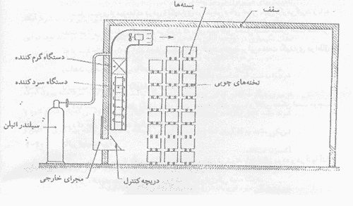 رساندن مصنوعی میوه ها رساندن مصنوعی میوه ها