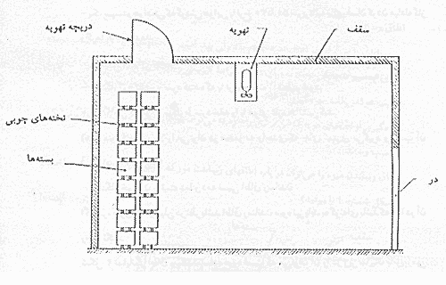رساندن مصنوعی میوه ها رساندن مصنوعی میوه ها
