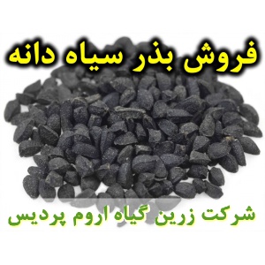 بذر سیاه دانه