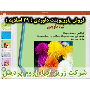 داوودی, گل داوودی, پاورپوینت داوودی, گل زینتی, ارائه داوودی, دانلود پاورپوینت داوودی, اسلاید داوودی برای ارائه در کلاس, گیاهشناسی داوودی, رقم های داوودی, ویژگی‌های گل داوودی, کاربرد تجاری داوودی, واکنش به طول روز, کاشت داوودی, بستر داوودی, تکثیر داوودی, ت