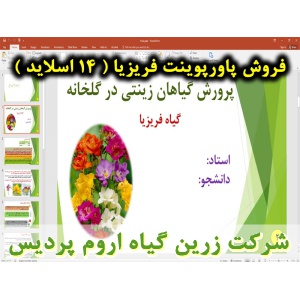 فریزیا, گیاه فریزیا, گل و گیاه زینتی, پاورپوینت فریزیا, ارائه فریزیا, دانلود پاورپوینت فریزیا, اسلاید فریزیا  برای ارائه در کلاس, گیاه شناسی فریزیا, اسم علمی فریزیا, اسم انگلیسی فریزیا, خانواده فریزیا, شرایط محیطی تولید فریزیا, دمای مناسب فریزیا, نور مناس