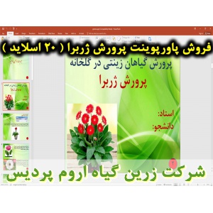 ژربرا, پاورپوینت ژربرا, ارائه ژربرا, دانلود پاورپوینت ژربرا, اسلاید ژربرا برای ارائه در کلاس, نام انگلیسی ژربرا, نام علمی ژربرا, تیره ژربرا, گیاه شناسی ژربرا, شرایط محیطی مناسب ژربرا, طول روز مناسب ژربرا, دمای مناسب ژربرا, نور مناسب ژربرا, آبیاری مناسب ژر
