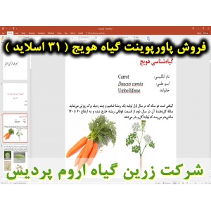 هویج, پاورپوینت هویج, ارائه هویج, دانلود پاورپوینت هویج, اسلاید هویج  برای ارائه در کلاس, گیاه‌شناسی هویج, نام انگلیسی هویج, اسم علمی هویج, خانواده هویج, منشأ هویج, طبقه بندی هویج, ارزش غذایی هویج, اهمیت اقتصادی هویج, شرایط آب و هوایی مناسب برای کاشت هویج