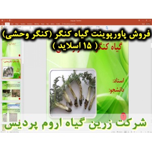 کنگر, پاورپوینت کنگر, ارائه کنگر, دانلود پاورپوینت کنگر, اسلاید کنگر  برای ارائه در کلاس, کنگر خوراکی, گیاه کنگر, کنگر وحشی, گیاه شناسی کنگر, نام انگلیسی کنگر, نام علمی کنگر, خانواده کنگر, برگ کنگر, ساقه کنگر, گل کنگر, موسم کنگر, قسمت خوراکی کنگر, وزن هزا