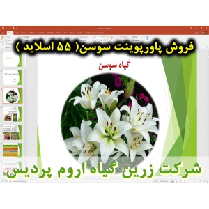 سوسن لیلیوم, گل سوسن لیلیوم, پاورپوینت سوسن لیلیوم, گل زینتی, ارائه سوسن لیلیوم, دانلود پاورپوینت سوسن لیلیوم, اسلاید سوسن لیلیوم برای ارائه در کلاس, گیاه شناسی, چرخه رشد, کاشت, بستر کاشت, انتخاب رقم سوسن, شرایط محیطی تولید سوسن, دمای مورد نیاز سوسن, نور 