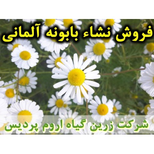 نشا بابونه آلمانی