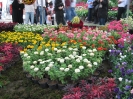 دهمین نمایشگاه گل و گیاه محلات