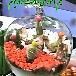 فیلم آموزش ساخت تراریوم, آموزش ساخت تراریوم, فیلم ساخت تراریوم, فیلم تراریوم, آموزش تصویری ساخت تراریوم, ساخت عملی تراریوم, ساخت علمی تراریوم, تراریوم کاکتوس, تراریوم گیاهان گلدار, تراریوم گیاهان برگدار